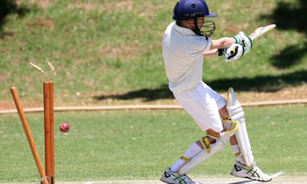 Pakistan Wins Thrilling Cricket Match